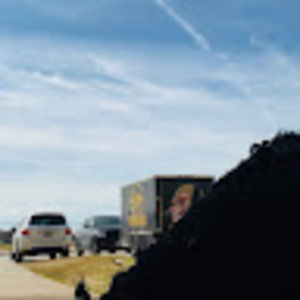 Meet your Posher, Betty